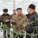 지방농장 이미지