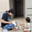 한일약국 | 노시부 대신 한일콧물흡입기 내돈내산 후기 소음영상+ 영유아 석션팁 추천