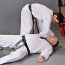 용인대파란태권도 이미지