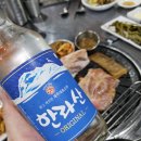 돼지몰이촌