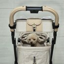 (주)로얄타이어 | 강아지 유모차 가방 로얄테일즈의 특별한 아이템 크라운백(f.메가주 이벤트)