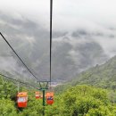 청도어물 이미지