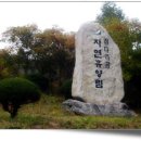 집다리골자연휴양림 이미지