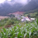 동강백운산 민박 이미지