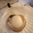 은이네 | 울산 태화동 맛집 은이네 새벽시장 내돈내산 방문후기