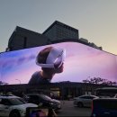 신세계카프라자 | 직접 가본 "신세계백화점 본점 크리스마스 미디어 파사드 2025!!!"