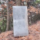 분두골 이미지