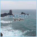협자연대 | 제주 동쪽 성산 오름 가볼만한 곳 섭지코지 비오는날 후기