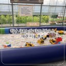 샤론농장 | 🛝 하남 샤론농장 피크닉하우스 대관 후기｜아이들과 실내 놀거리 가득한 키즈 피크닉 주말 일상 💛
