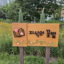 지에스25 답십리센터점 이미지