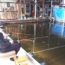 신가리낚시터 이미지