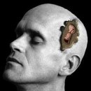 인지심리학 이미지