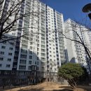 골드클래스 | 구미 산동 골드클래스 lx지인 테라피 모찌 화이트 도배 후기