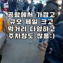 제주시내 갈만한곳들 지금 나가봐도 괜찮겠다 싶음 이미지