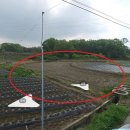 뉴평택공인중개사사무소 이미지