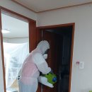 김해율하유치원 이미지