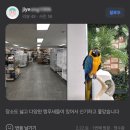 버드펠리스 | 버드펠리스 2월 후기 이벤트 당첨 공지!! 1편
