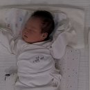 트리시아산후조리원 | [하남_트리시아 산후조리원] 2주 이용 찐 후기 / 내돈내산