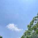 유토피베이킹 이미지