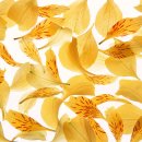 포근한 이불 이미지