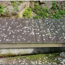 남근농장 이미지