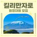 헬로여행사