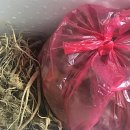 해성농장 이미지