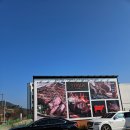 본본레스토랑 | 부산 기장 연화리 양식 맛집 가족식사 하기 좋은 본본레스토랑