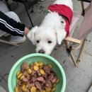 스테이 뭉구 이미지