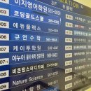 분당수학학원 정보 모으기 (수학의아침, 일비충천, 세이노, 메이저, SNU)