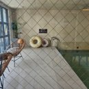 봉스테이 이미지