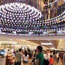 좌화취월 이미지