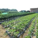 양유리마을회관 이미지