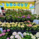 여의동농장 이미지