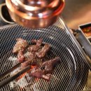 조명탄 파주동패점 이미지