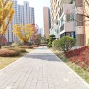 e편한세상 용인한숲시티 3단지 이미지