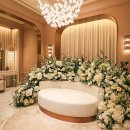 아모리스 이미지