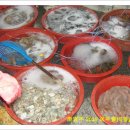 보성읍사무소앞 이미지