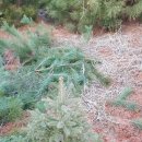 소나농장 이미지