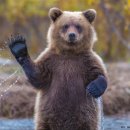 캐릭터라인 이미지