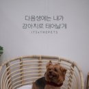 기훈농장 | 2021 케이펫페어 송도 관람 후기