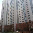 하단동1217 이미지