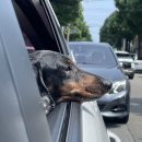 강릉수영장 이미지