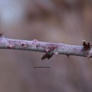 종복농장 이미지