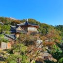 유니크펜션 이미지