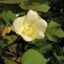 은아농장 이미지