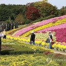 "연휴는 치즈의 고장에서"…제9회 임실N치즈축제 팡파르 이미지