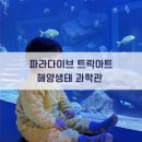 큰숲어린이집 | 거북섬 파라다이브 해양생태과학관 아기랑
