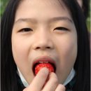 K태권스쿨 네이버블로그