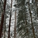 힐링창고 이미지